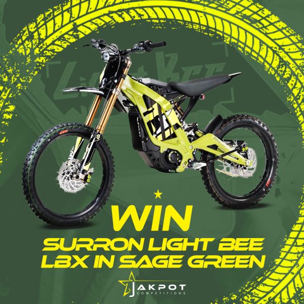 WIN SURRON LIGHT BEE X
